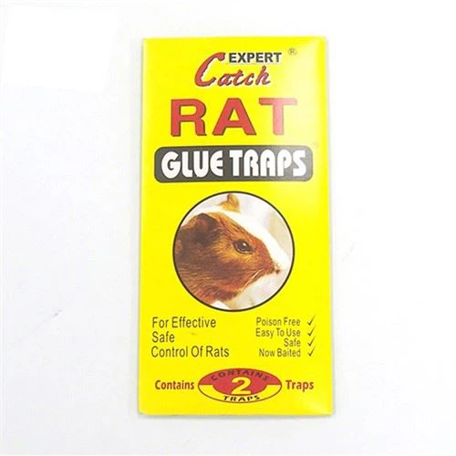 Липкі мишоловки