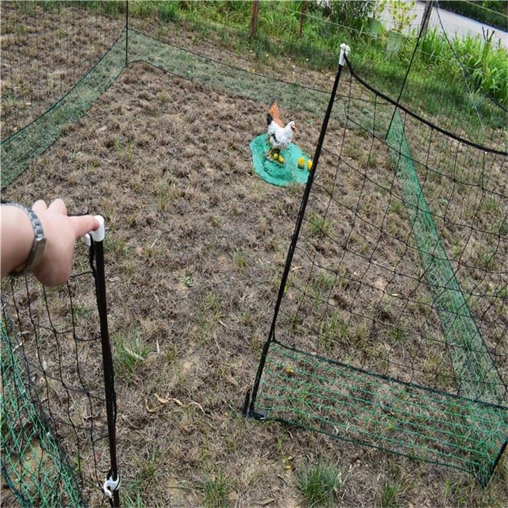 Plastic Chicken Nets In Rolls For Black And Green