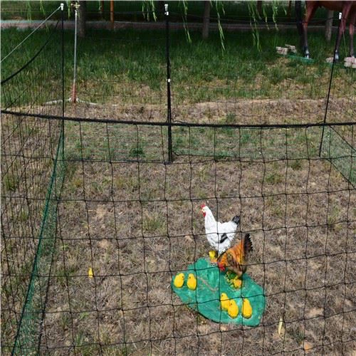 Легкий курячі фехтування