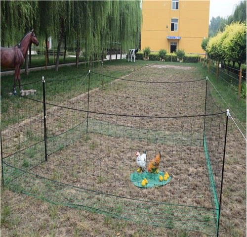 Сітка ярдгарда сітка для птиці