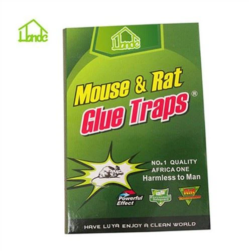 Клейові пастки для щурів у складеному дизайні